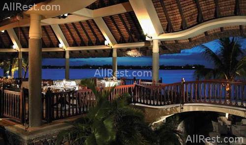 Royal Palm 29